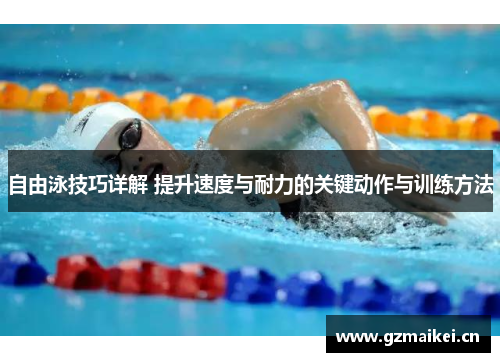 自由泳技巧详解 提升速度与耐力的关键动作与训练方法