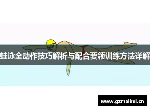 蛙泳全动作技巧解析与配合要领训练方法详解