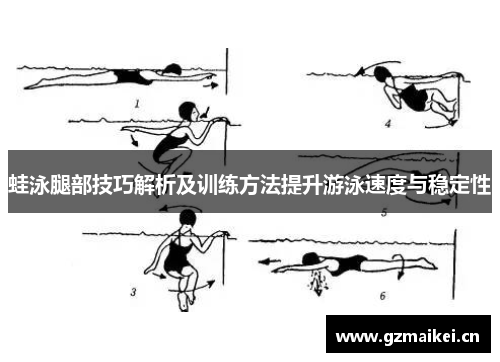 蛙泳腿部技巧解析及训练方法提升游泳速度与稳定性